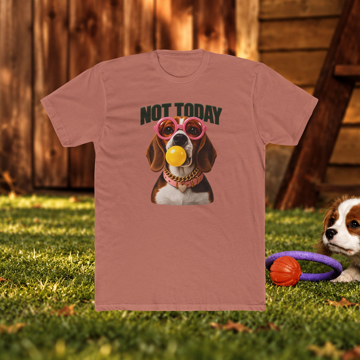Not Today Dog T‑Shirt — Funny Dachshund Graphic Tee with Sunglasses & Ball