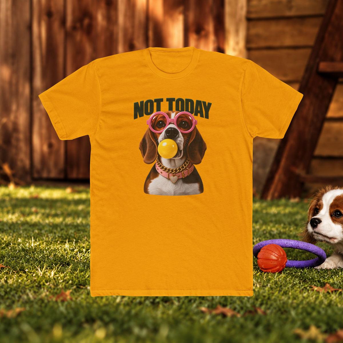 Not Today Dog T‑Shirt — Funny Dachshund Graphic Tee with Sunglasses & Ball