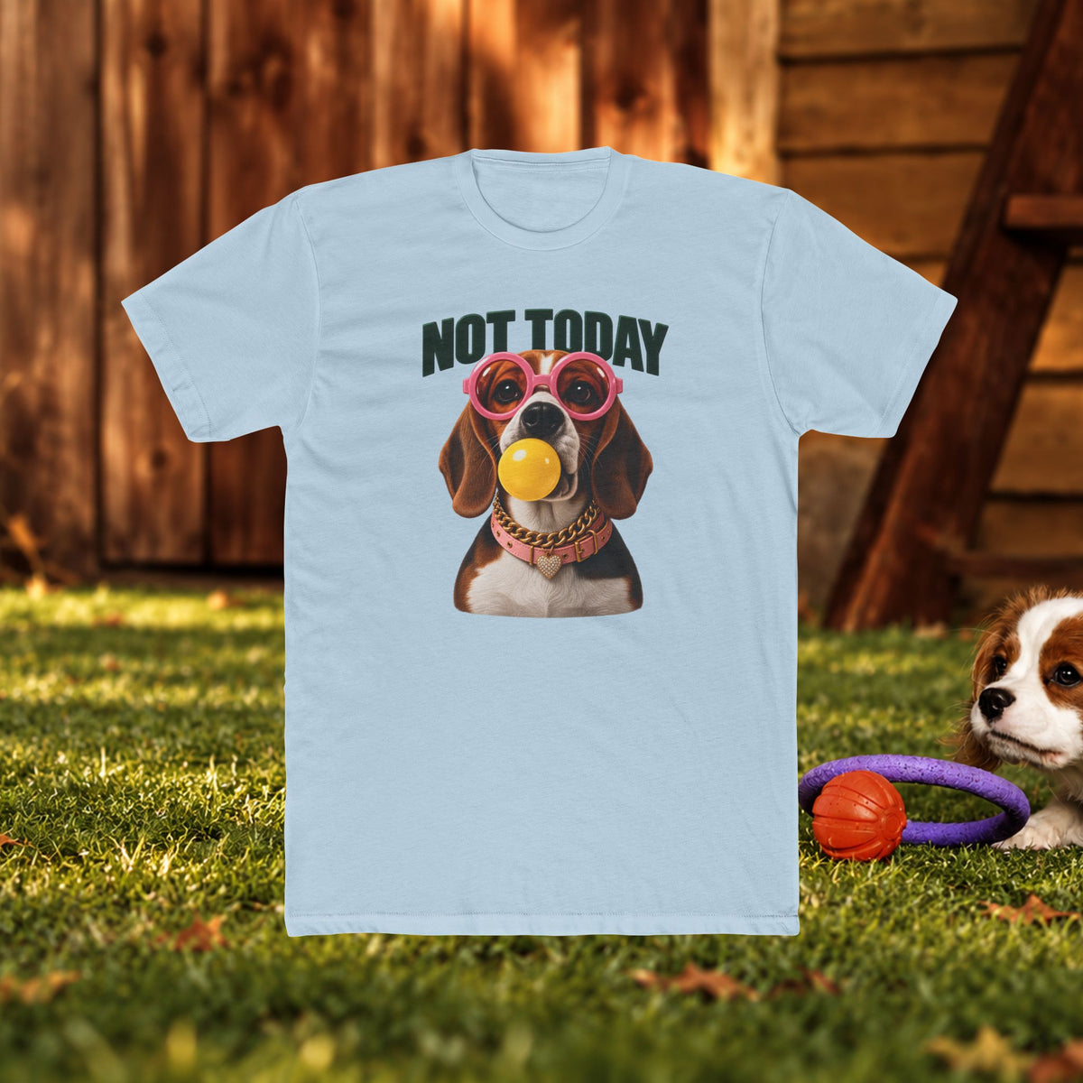 Not Today Dog T‑Shirt — Funny Dachshund Graphic Tee with Sunglasses & Ball