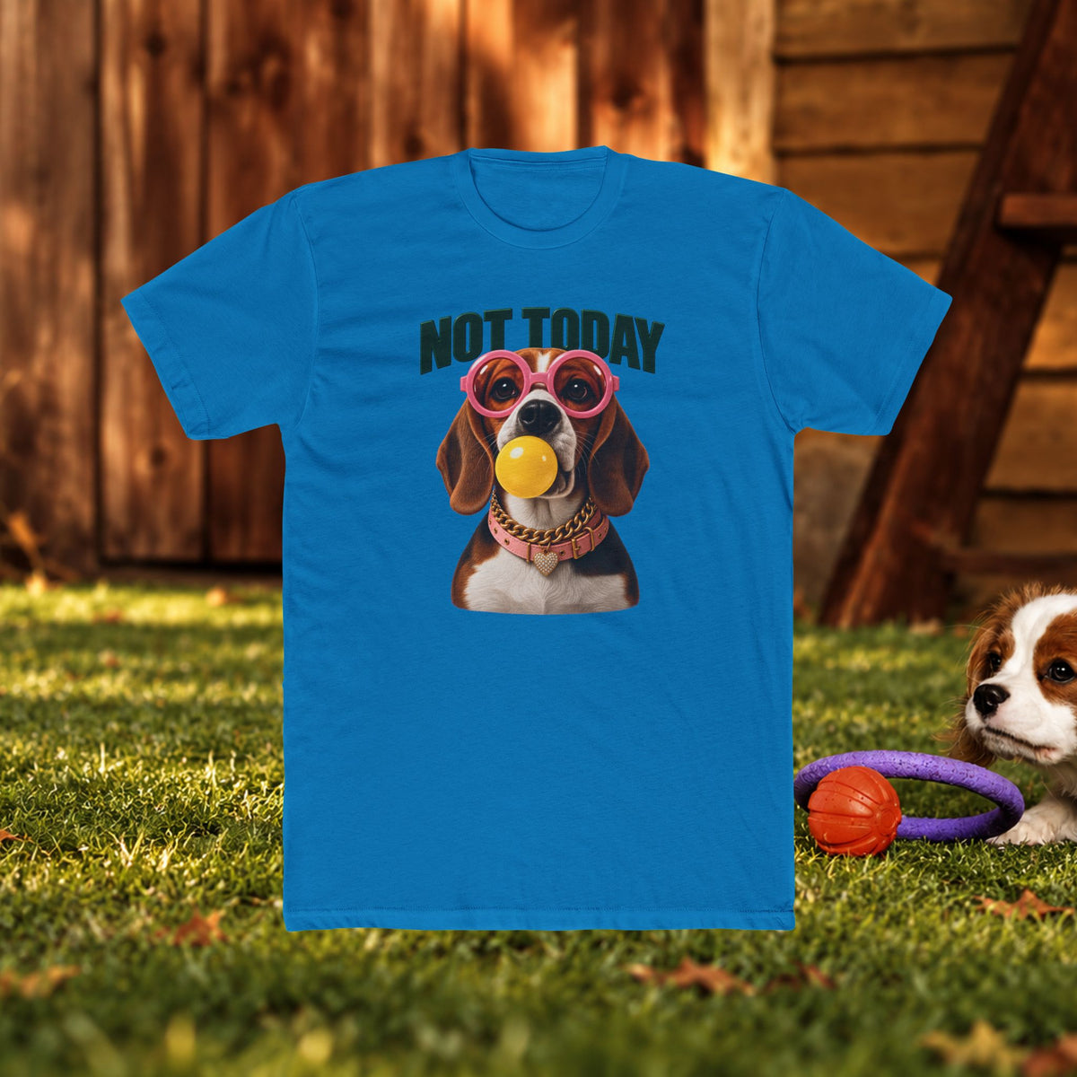 Not Today Dog T‑Shirt — Funny Dachshund Graphic Tee with Sunglasses & Ball
