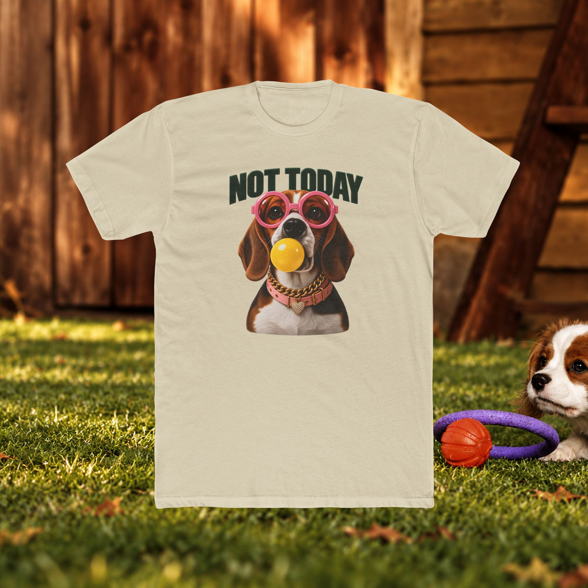 Not Today Dog T‑Shirt — Funny Dachshund Graphic Tee with Sunglasses & Ball