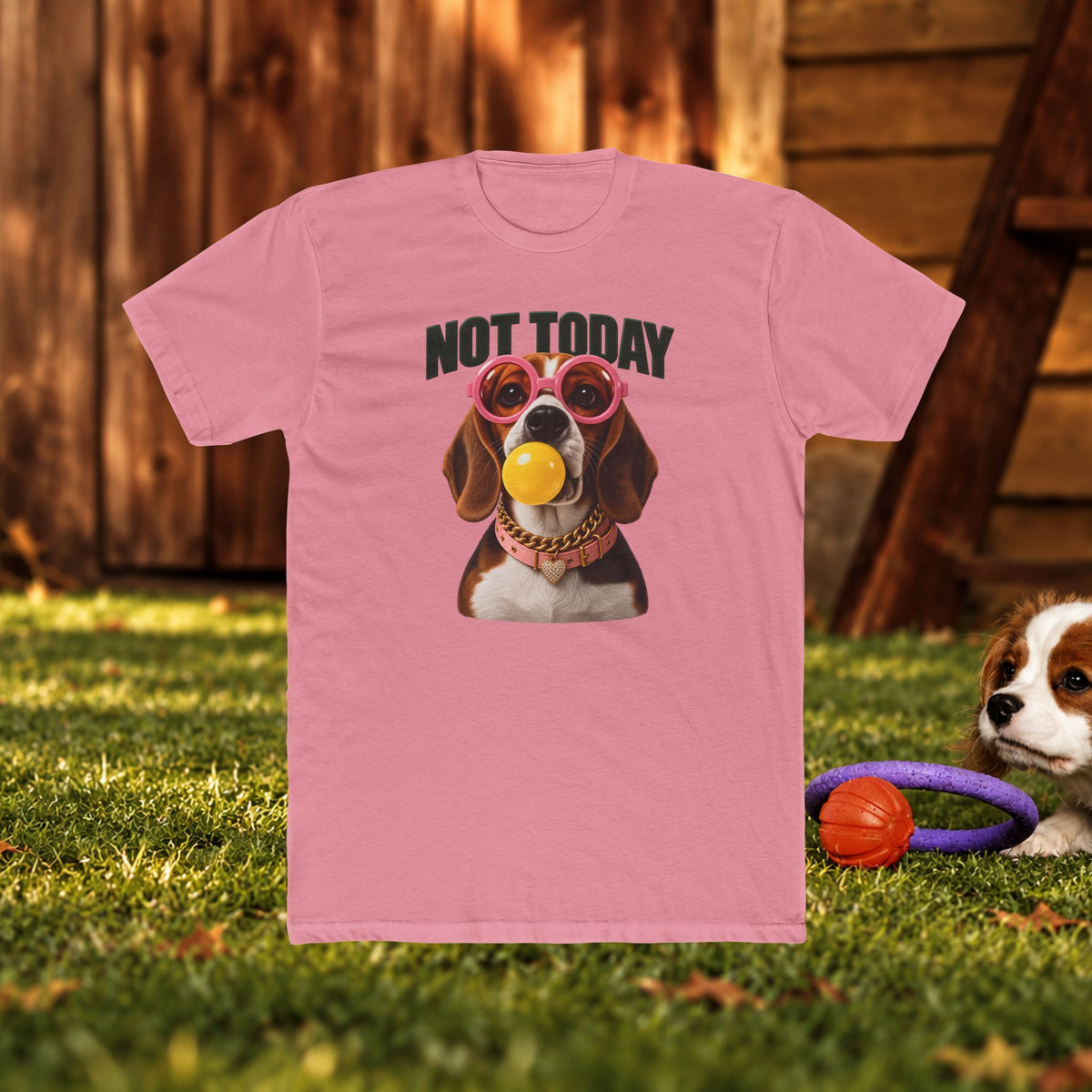 Not Today Dog T‑Shirt — Funny Dachshund Graphic Tee with Sunglasses & Ball