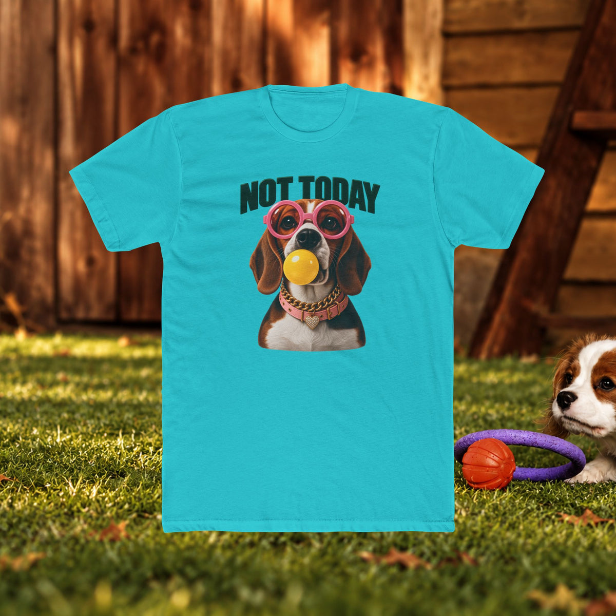 Not Today Dog T‑Shirt — Funny Dachshund Graphic Tee with Sunglasses & Ball